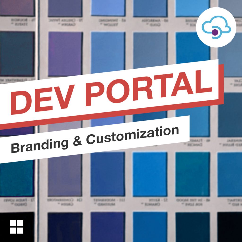 API-Dev-Portal-1x1 Brand Your API